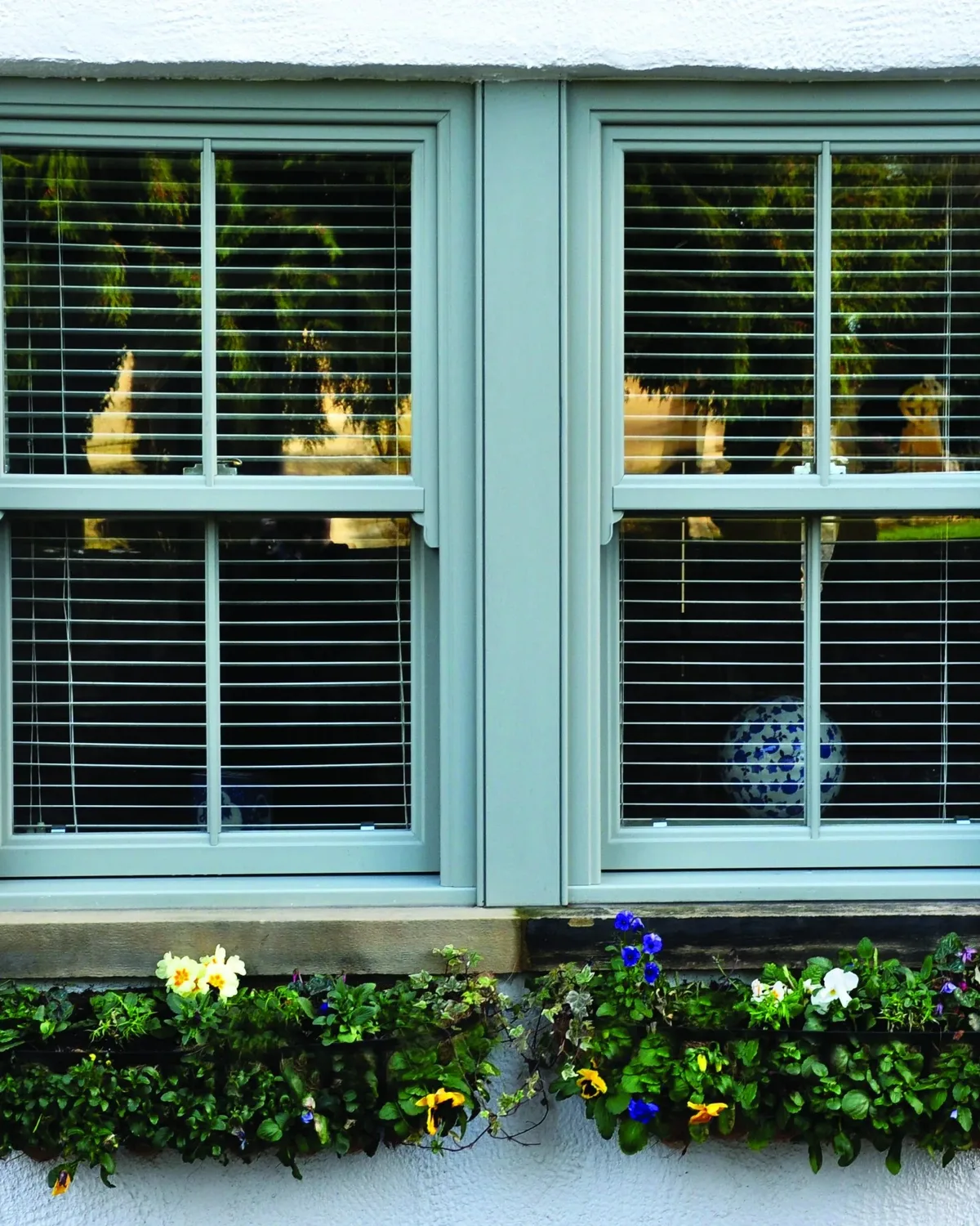 Duck-egg blue double glazed sliding sash window with a planter of flowers